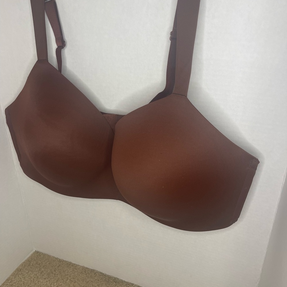 Lane Bryant Cacique Intimates